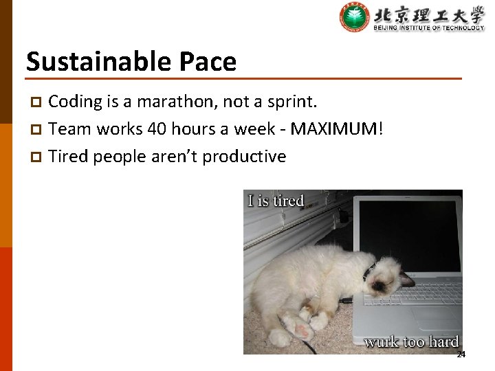 Sustainable Pace Coding is a marathon, not a sprint. p Team works 40 hours