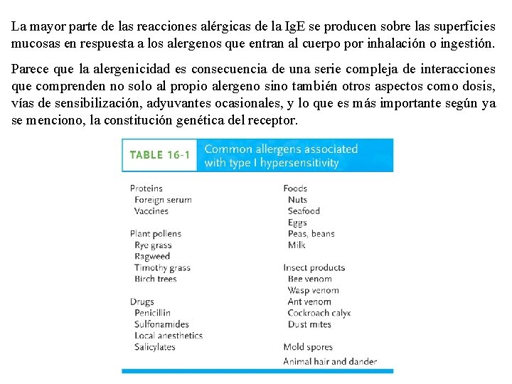 La mayor parte de las reacciones alérgicas de la Ig. E se producen sobre