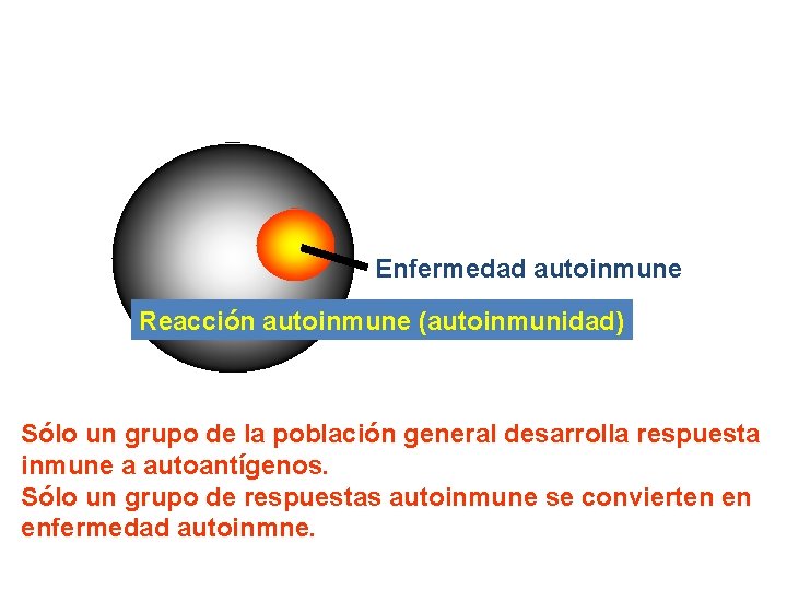 Enfermedad autoinmune Reacción autoinmune (autoinmunidad) Sólo un grupo de la población general desarrolla respuesta Enfermedad autoinmune Reacción autoinmune (autoinmunidad) Sólo un grupo de la población general desarrolla respuesta