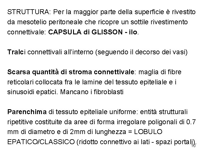 STRUTTURA: Per la maggior parte della superficie è rivestito da mesotelio peritoneale che ricopre STRUTTURA: Per la maggior parte della superficie è rivestito da mesotelio peritoneale che ricopre