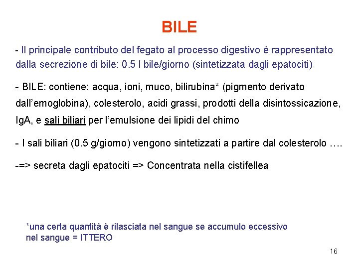 BILE - Il principale contributo del fegato al processo digestivo è rappresentato dalla secrezione BILE - Il principale contributo del fegato al processo digestivo è rappresentato dalla secrezione