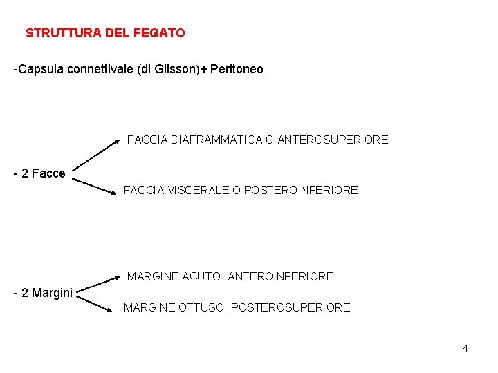 STRUTTURA DEL FEGATO -Capsula connettivale (di Glisson)+ Peritoneo FACCIA DIAFRAMMATICA O ANTEROSUPERIORE - 2 STRUTTURA DEL FEGATO -Capsula connettivale (di Glisson)+ Peritoneo FACCIA DIAFRAMMATICA O ANTEROSUPERIORE - 2