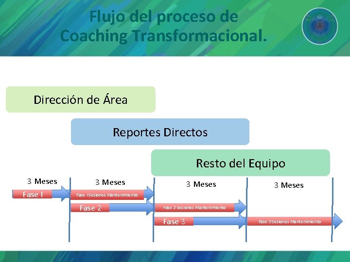 Flujo del proceso de Coaching Transformacional. Dirección de Área Reportes Directos Resto del Equipo