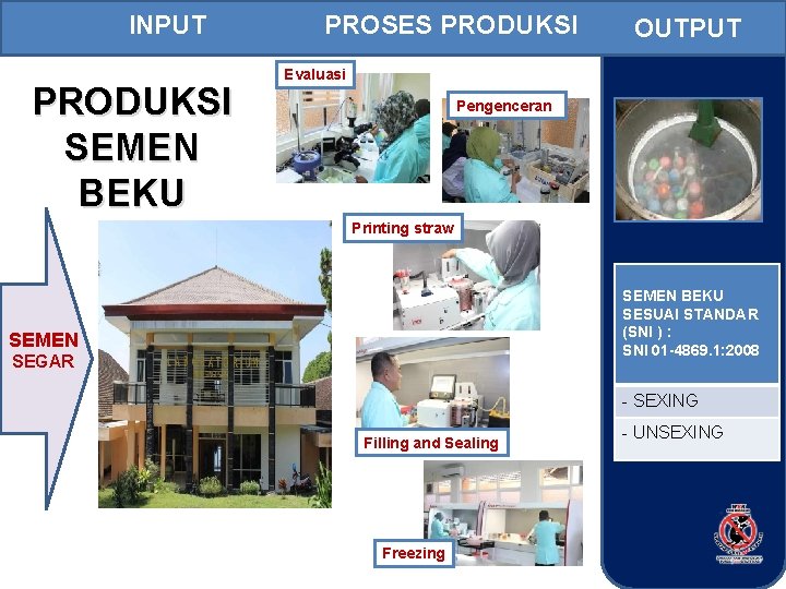 INPUT PRODUKSI SEMEN BEKU PROSES PRODUKSI OUTPUT Evaluasi Pengenceran Printing straw SEMEN BEKU SESUAI