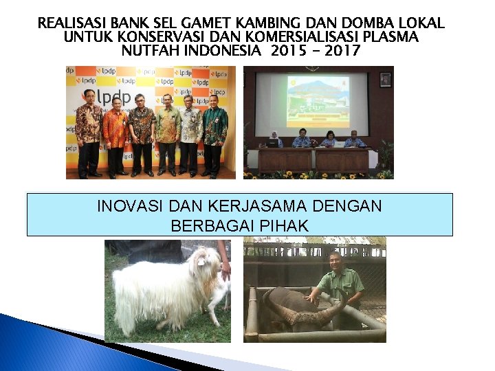 REALISASI BANK SEL GAMET KAMBING DAN DOMBA LOKAL UNTUK KONSERVASI DAN KOMERSIALISASI PLASMA NUTFAH
