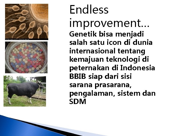 Endless improvement… Genetik bisa menjadi salah satu icon di dunia internasional tentang kemajuan teknologi