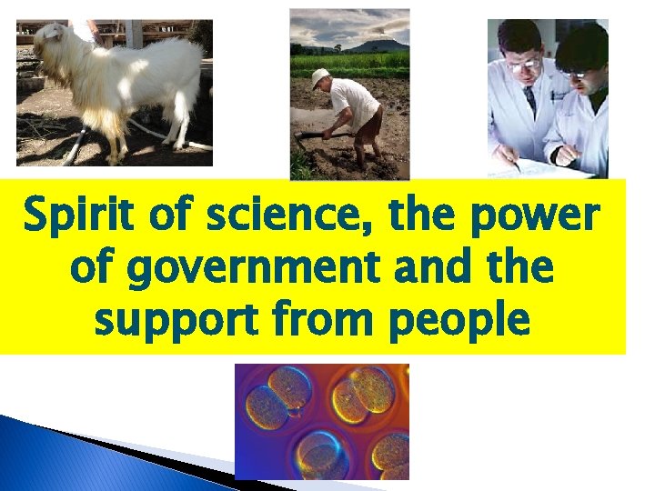 Spirit of science, the power of government and the support from people 
