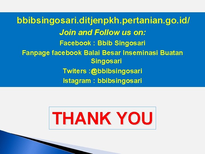 bbibsingosari. ditjenpkh. pertanian. go. id/ Join and Follow us on: Facebook : Bbib Singosari