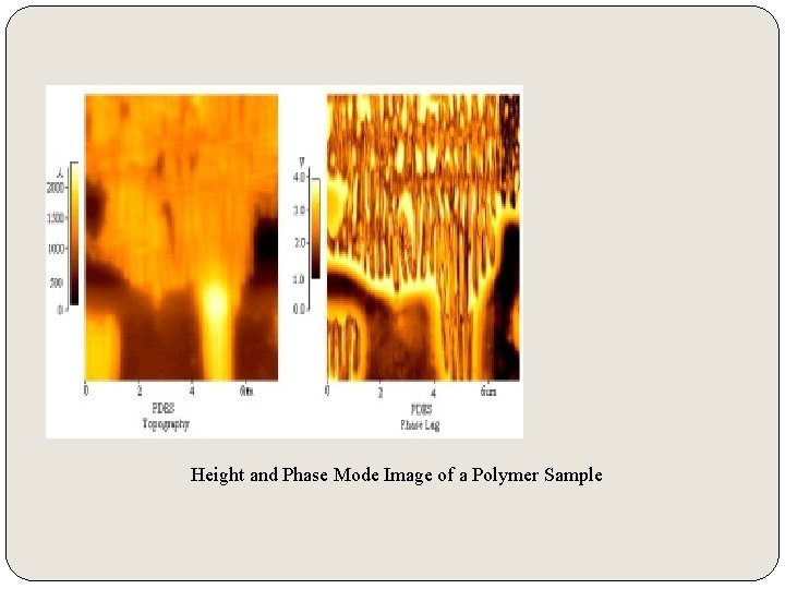 Height and Phase Mode Image of a Polymer Sample 