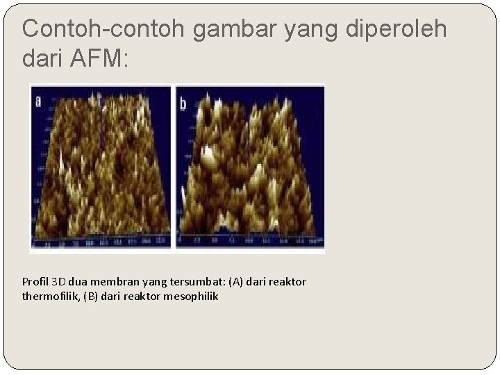 Contoh-contoh gambar yang diperoleh dari AFM: Profil 3 D dua membran yang tersumbat: (A)