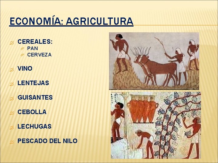 ECONOMÍA: AGRICULTURA CEREALES: PAN CERVEZA VINO LENTEJAS GUISANTES CEBOLLA LECHUGAS PESCADO DEL NILO 