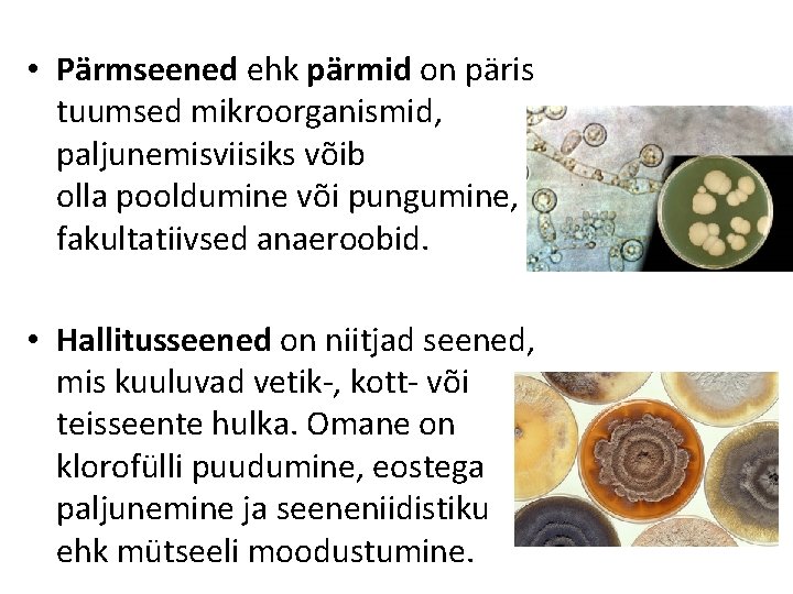  • Pärmseened ehk pärmid on päris tuumsed mikroorganismid, paljunemisviisiks võib olla pooldumine või