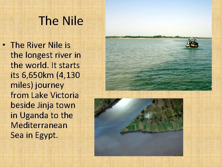 The Nile • The River Nile is the longest river in the world. It