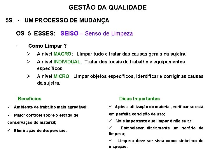 GESTÃO DA QUALIDADE 5 S - UM PROCESSO DE MUDANÇA OS 5 ESSES: SEISO