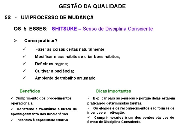 GESTÃO DA QUALIDADE 5 S - UM PROCESSO DE MUDANÇA OS 5 ESSES: SHITSUKE