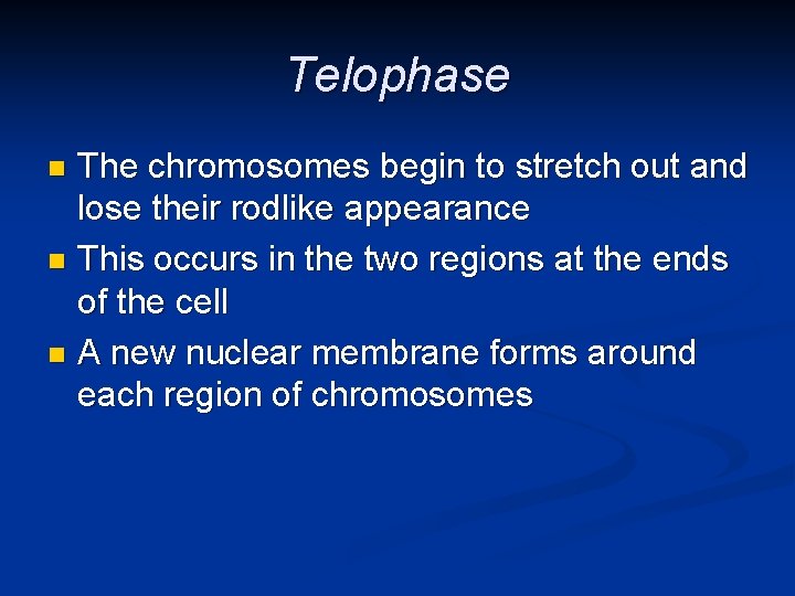 Telophase The chromosomes begin to stretch out and lose their rodlike appearance n This