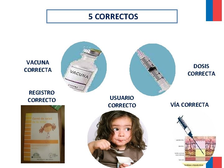 5 CORRECTOS VACUNA CORRECTA REGISTRO CORRECTO DOSIS CORRECTA USUARIO CORRECTO VÍA CORRECTA 5 CORRECTOS VACUNA CORRECTA REGISTRO CORRECTO DOSIS CORRECTA USUARIO CORRECTO VÍA CORRECTA