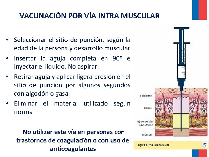 VACUNACIÓN POR VÍA INTRA MUSCULAR • Seleccionar el sitio de punción, según la edad VACUNACIÓN POR VÍA INTRA MUSCULAR • Seleccionar el sitio de punción, según la edad