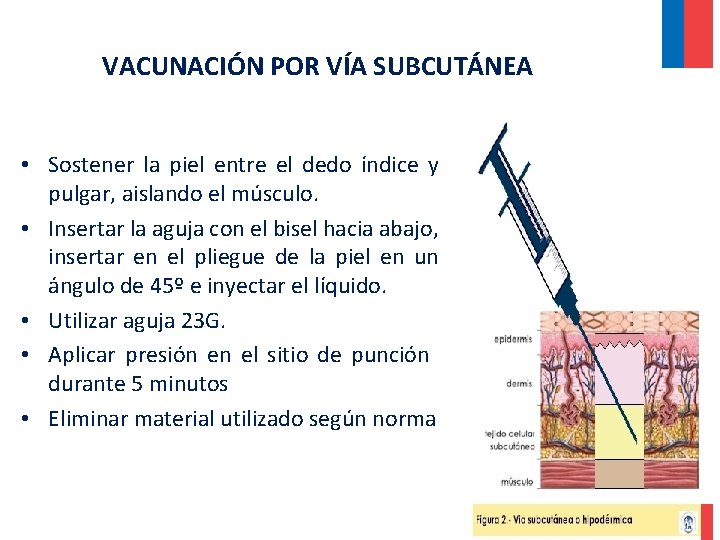 VACUNACIÓN POR VÍA SUBCUTÁNEA • Sostener la piel entre el dedo índice y pulgar, VACUNACIÓN POR VÍA SUBCUTÁNEA • Sostener la piel entre el dedo índice y pulgar,