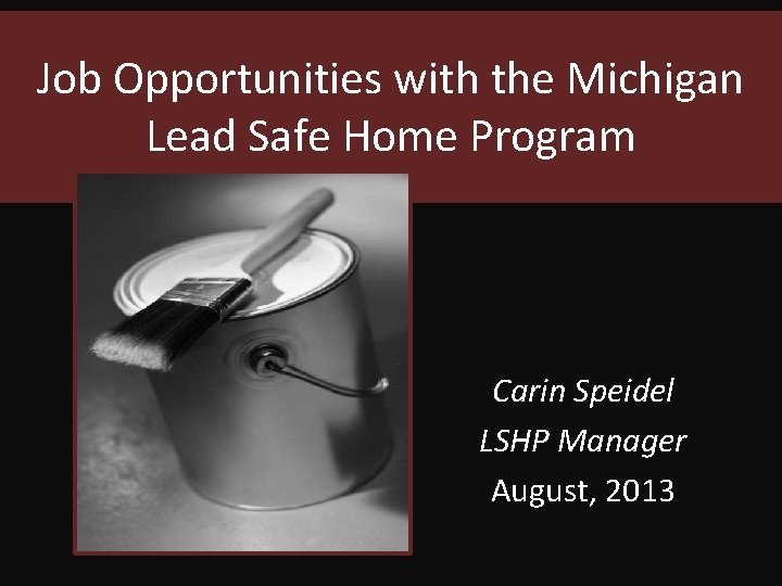 Job Opportunities with the Michigan Lead Safe Home Program Carin Speidel LSHP Manager August,