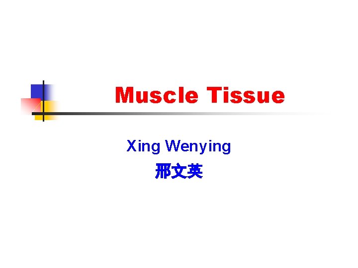 Muscle Tissue Xing Wenying 邢文英 