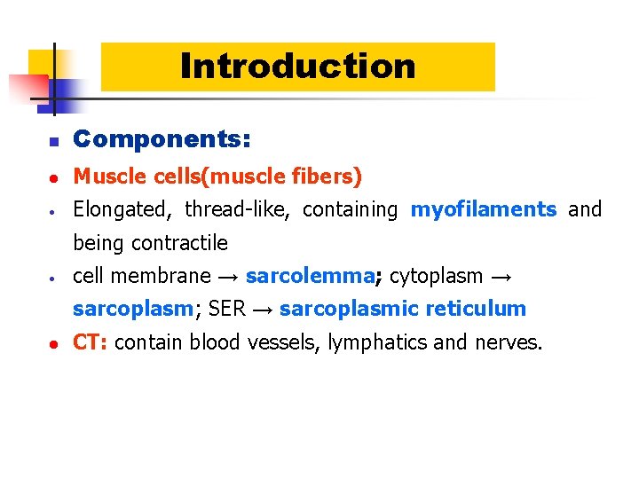 Introduction n Components: l Muscle cells(muscle fibers) • Elongated, thread-like, containing myofilaments and being