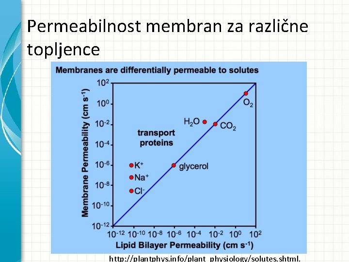 Permeabilnost membran za različne topljence http: //plantphys. info/plant_physiology/solutes. shtml. 