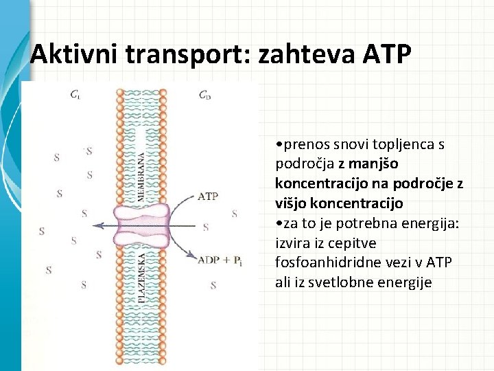 Aktivni transport: zahteva ATP • prenos snovi topljenca s področja z manjšo koncentracijo na