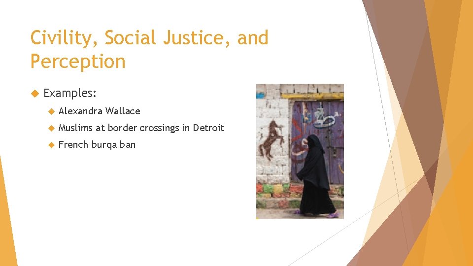 Civility, Social Justice, and Perception Examples: Alexandra Wallace Muslims at border crossings in Detroit