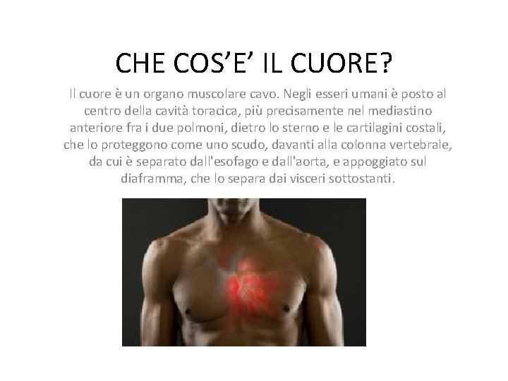 CHE COS’E’ IL CUORE? Il cuore è un organo muscolare cavo. Negli esseri umani