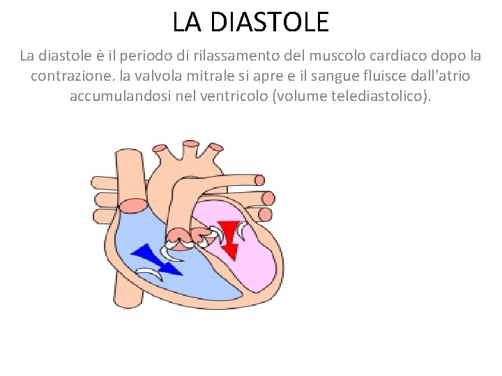 LA DIASTOLE La diastole è il periodo di rilassamento del muscolo cardiaco dopo la