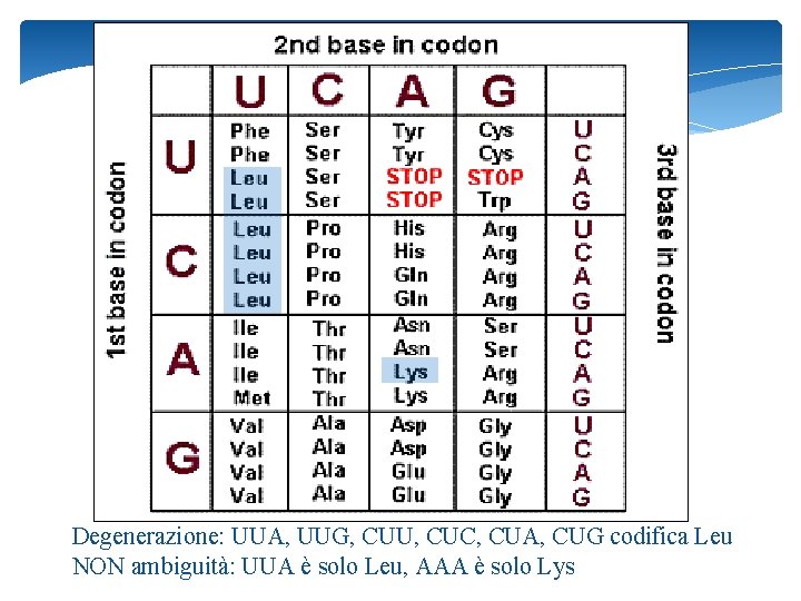 Degenerazione: UUA, UUG, CUU, CUC, CUA, CUG codifica Leu NON ambiguità: UUA è solo