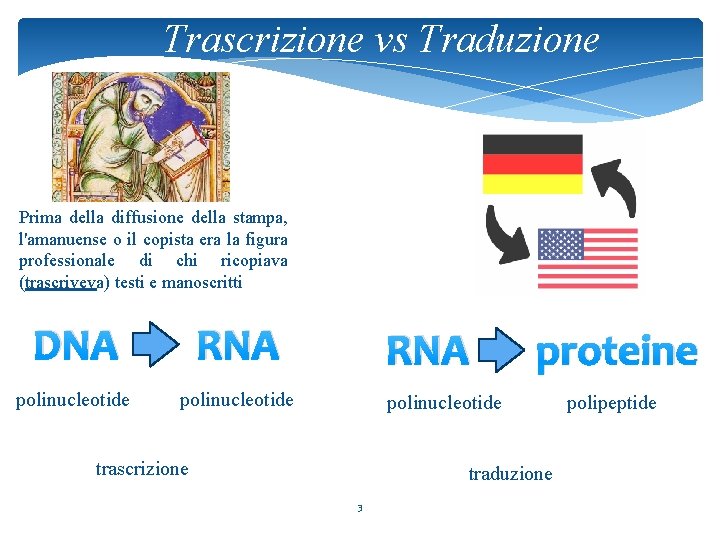 Trascrizione vs Traduzione Prima della diffusione della stampa, l'amanuense o il copista era la