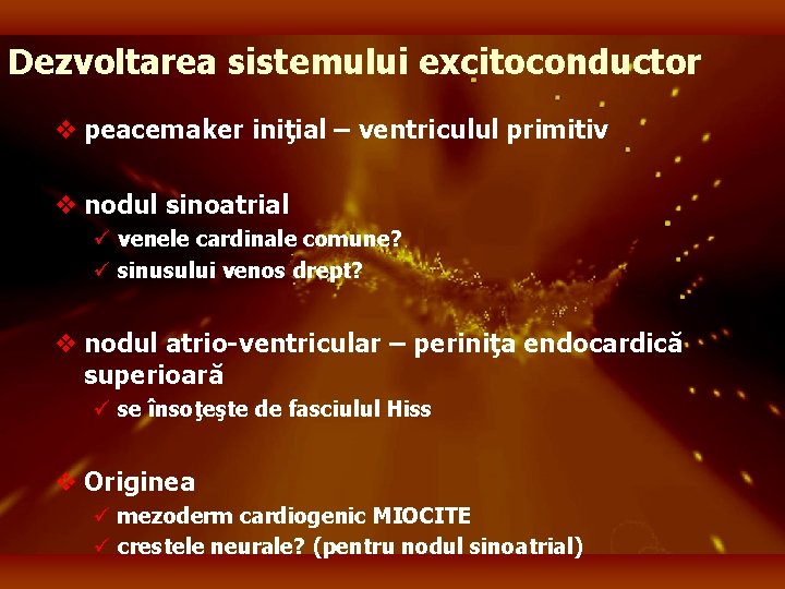 Dezvoltarea sistemului excitoconductor v peacemaker iniţial – ventriculul primitiv v nodul sinoatrial ü venele