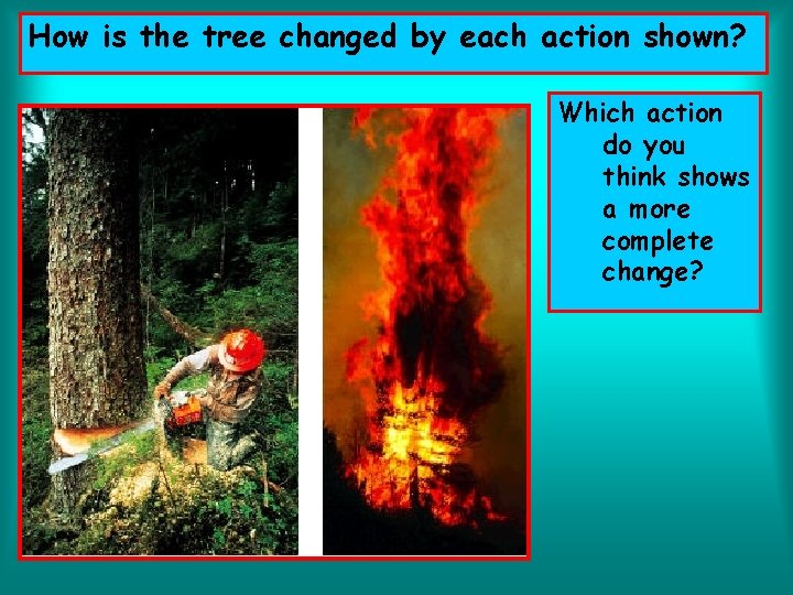 How is the tree changed by each action shown? Which action do you think