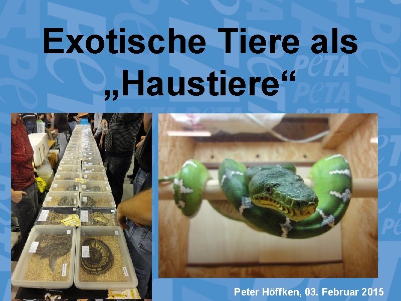 Exotische Tiere als „Haustiere“ Peter Höffken, 03. Februar 2015 