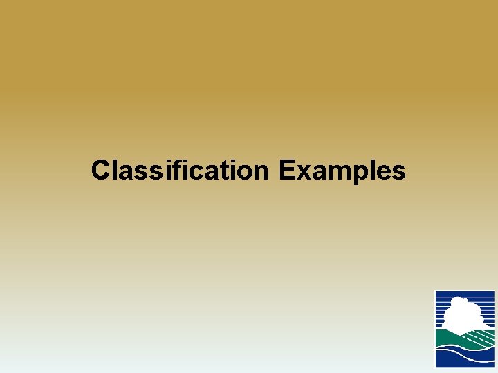Classification Examples 
