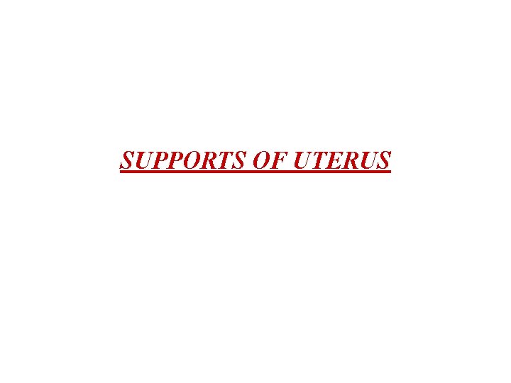 SUPPORTS OF UTERUS 