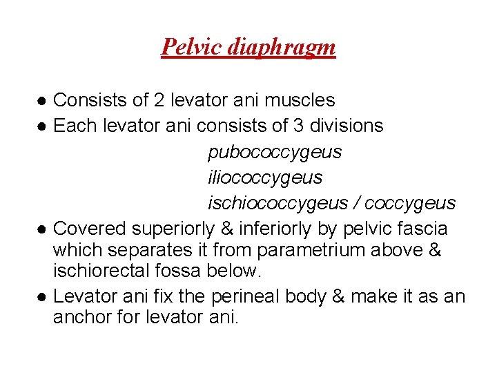 Pelvic diaphragm ● Consists of 2 levator ani muscles ● Each levator ani consists