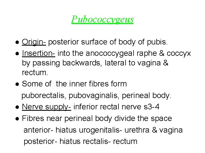 Pubococcygeus ● Origin- posterior surface of body of pubis. ● Insertion- into the anococcygeal