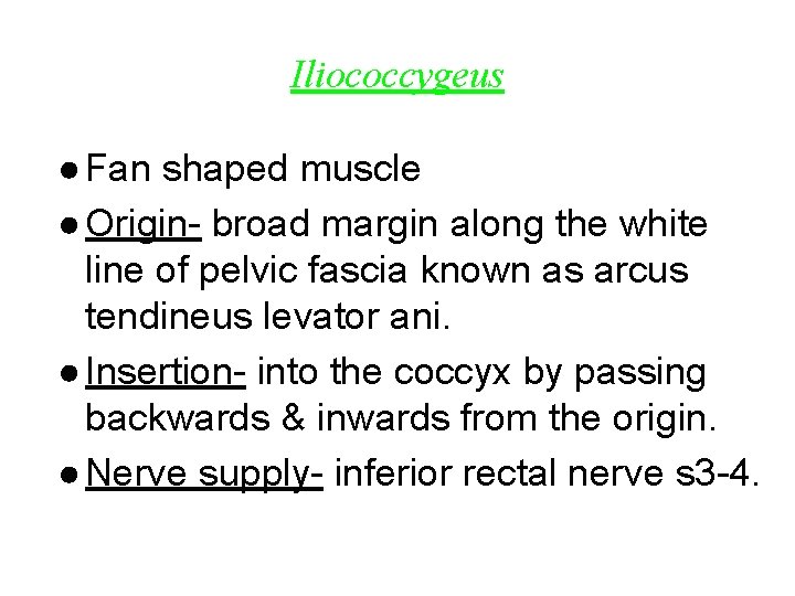 Iliococcygeus ● Fan shaped muscle ● Origin- broad margin along the white line of