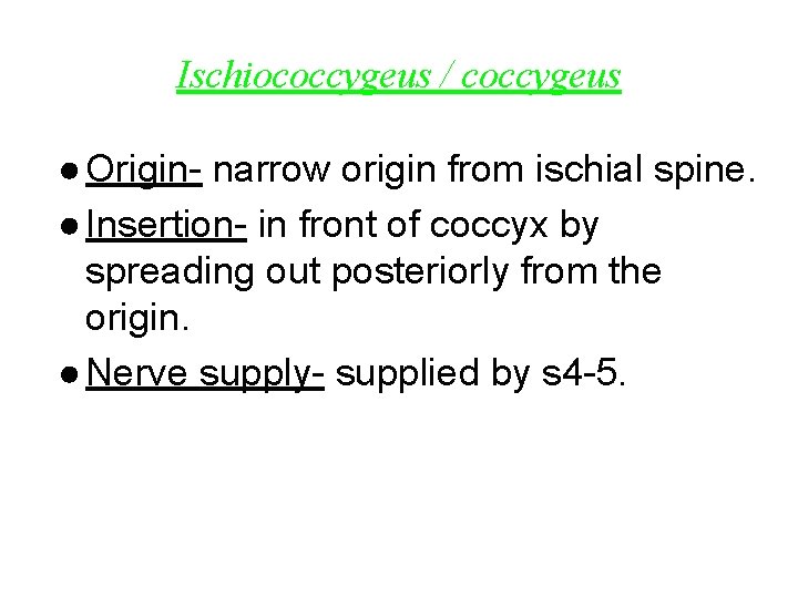 Ischiococcygeus / coccygeus ● Origin- narrow origin from ischial spine. ● Insertion- in front