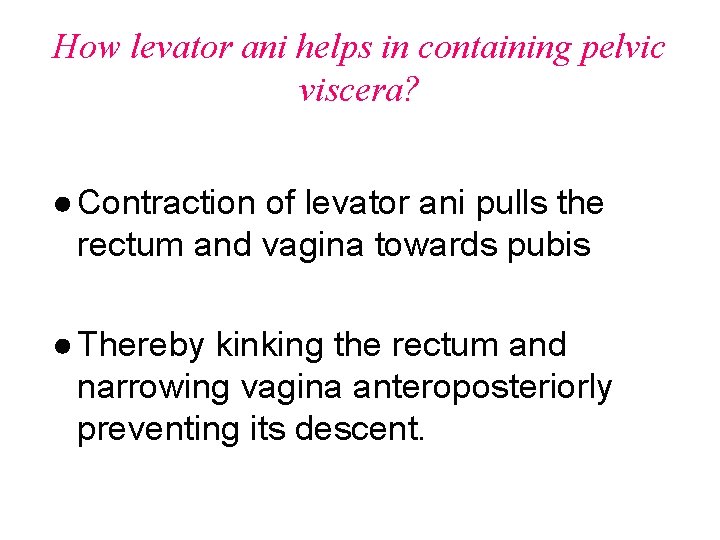 How levator ani helps in containing pelvic viscera? ● Contraction of levator ani pulls
