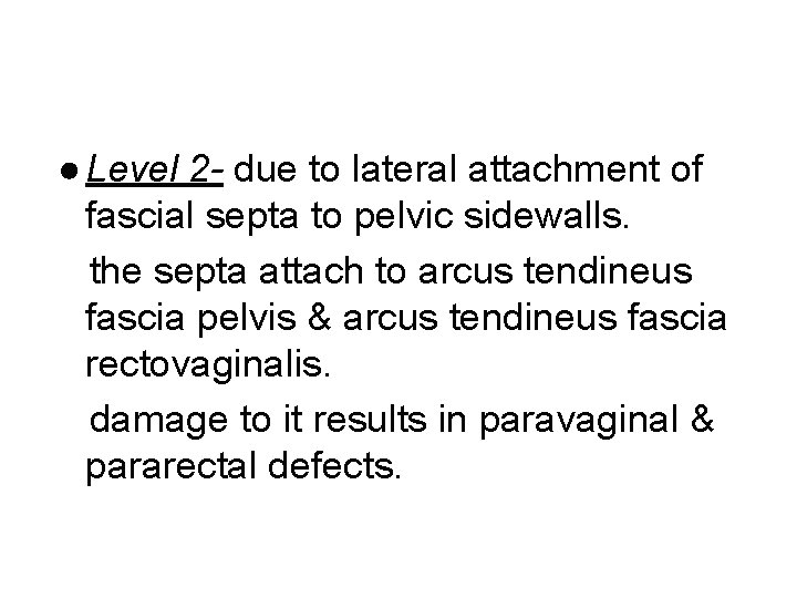 ● Level 2 - due to lateral attachment of fascial septa to pelvic sidewalls.