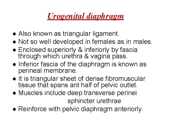 Urogenital diaphragm ● Also known as triangular ligament. ● Not so well developed in