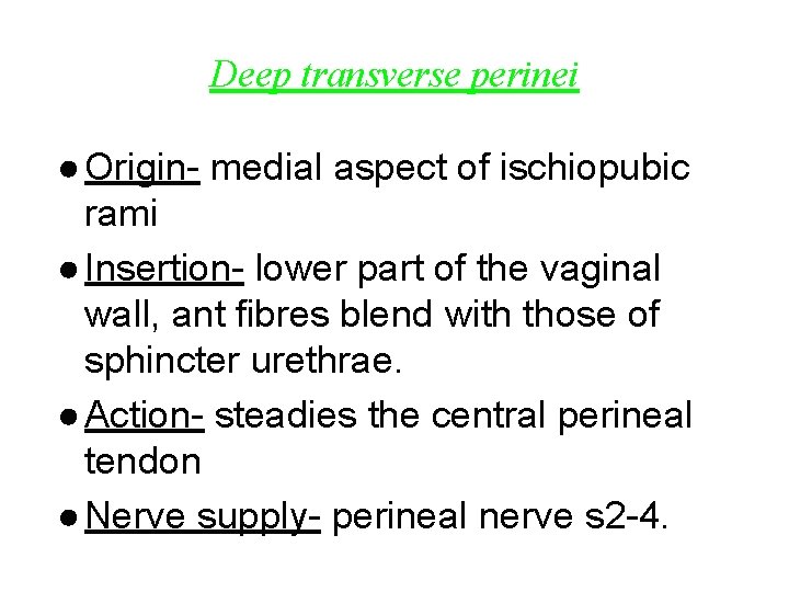 Deep transverse perinei ● Origin- medial aspect of ischiopubic rami ● Insertion- lower part