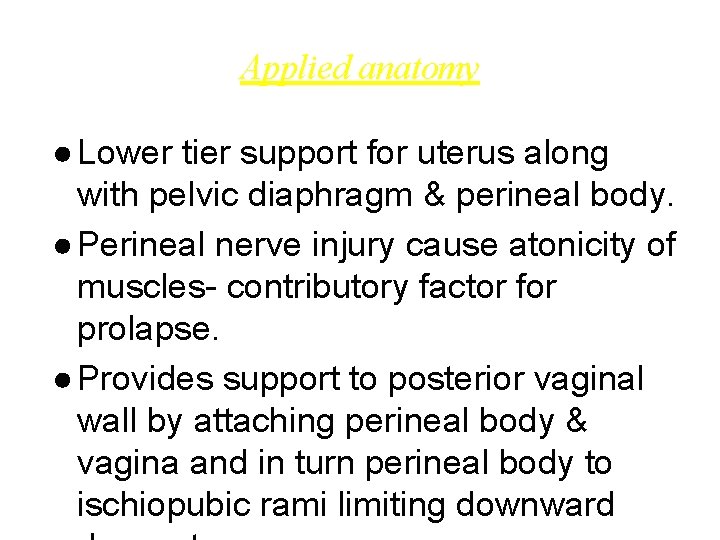 Applied anatomy ● Lower tier support for uterus along with pelvic diaphragm & perineal