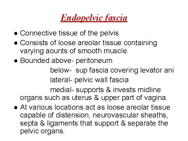 Endopelvic fascia ● Connective tissue of the pelvis ● Consists of loose areolar tissue