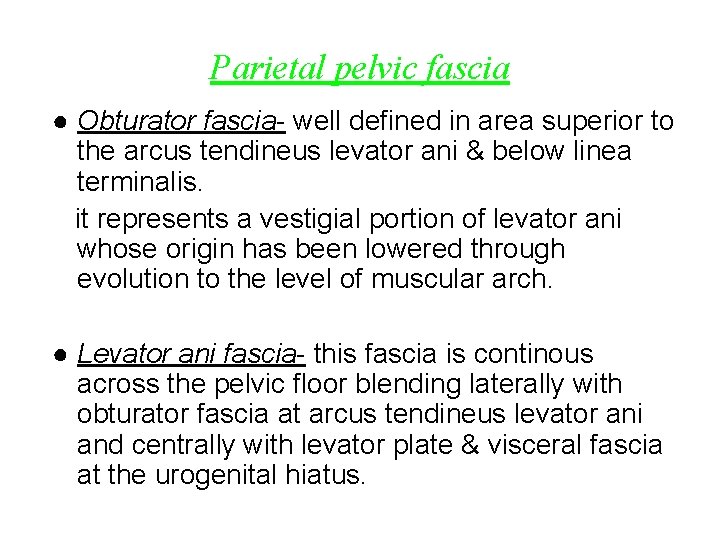 Parietal pelvic fascia ● Obturator fascia- well defined in area superior to the arcus