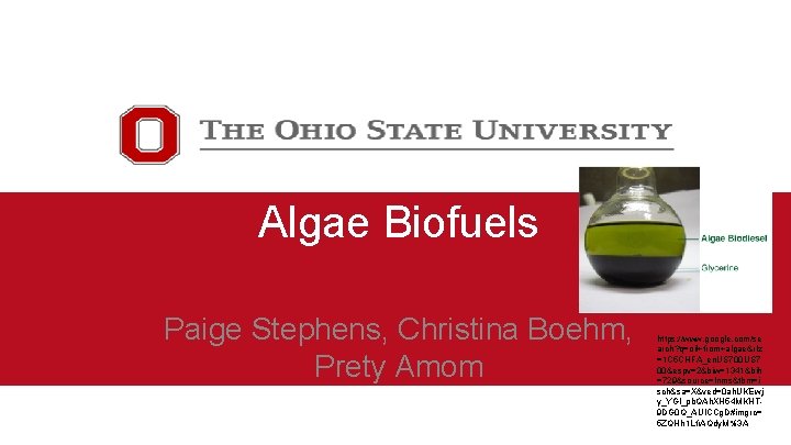 Algae Biofuels Paige Stephens, Christina Boehm, Prety Amom https: //www. google. com/se arch? q=oil+from+algae&rlz